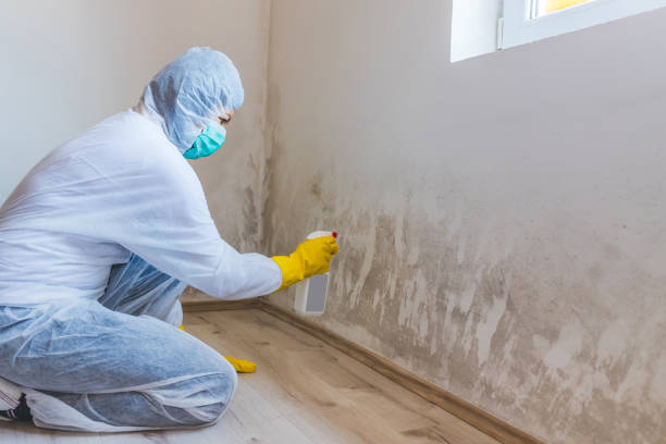 Licensed Crawl Space Mold Removal service in Sherwood, MD - WQB Mold Removal