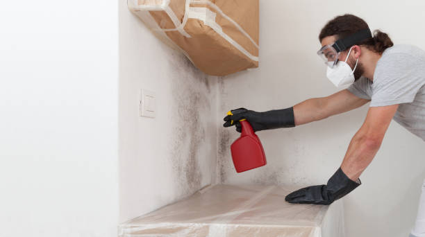 Professional Crawl Space Mold Removal technician working in Sherwood, MD