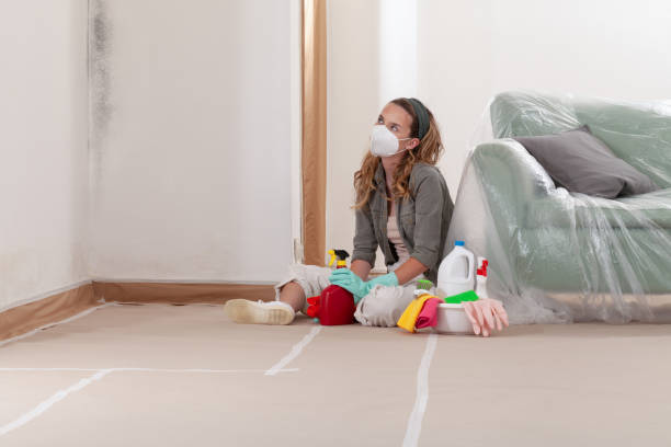 Reliable Crawl Space Mold Removal contractor in Sherwood, MD by WQB Mold Removal