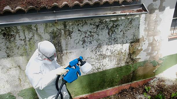 Top rated local Crawl Space Mold Removal specialists in Sherwood, MD